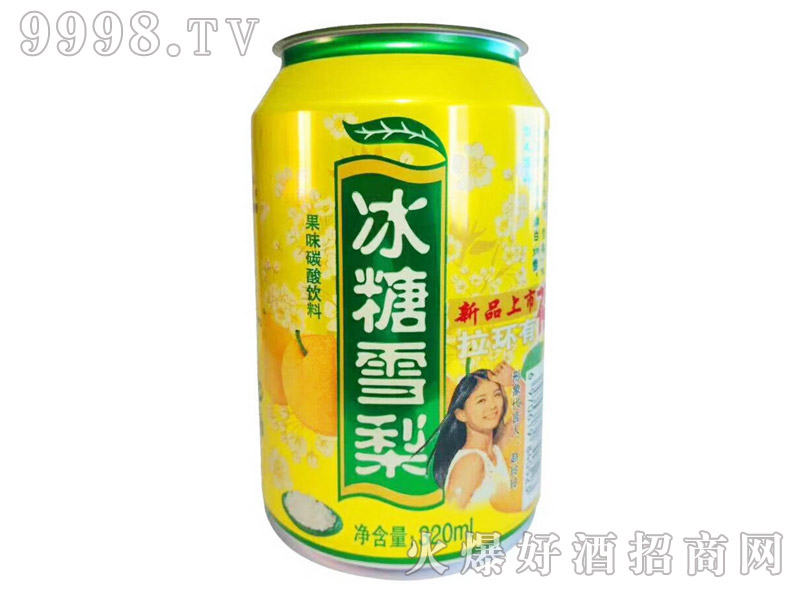 ����ѩ���ζ̼�����