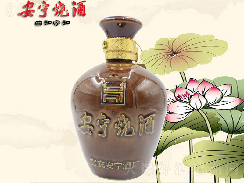 ���������չ޾� �����Ͱ׾ơ�45�� 500ml��