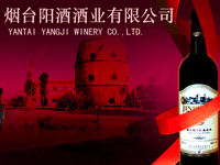 ���_(t��i)ꖾƾƘI(y��)���޹�˾