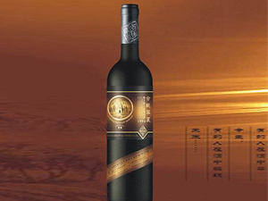 ��Խ�A�ľƘI(y��)���޹�˾