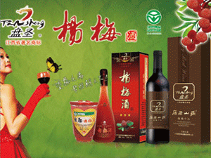 �����PʥʳƷ������޹�˾