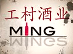 �V�ݹ���ƘI(y��)���޹�˾