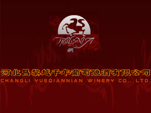 �ӱ�����Խǧ������ᄾ����޹�˾