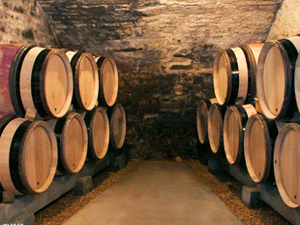 �ӱ�Ӣ��¡�ƘI(y��)���޹�˾