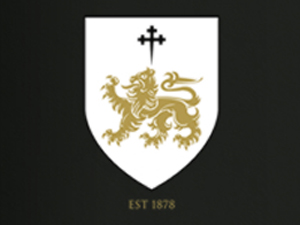 ����ʥ�T�f�@�ƘI(y��)���޹�˾