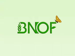 �P�݌��Z�Q�����޹�˾