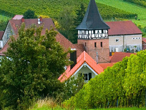 �B�T���_(d��)�Q(m��o)�����޹�˾