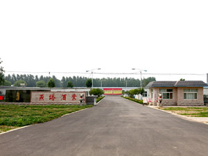 ɽ�|�����ƘI(y��)���޹�˾