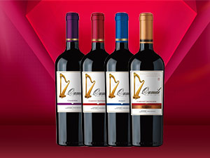 �Ϻ��ὡ��(sh��)�I(y��)���޹�˾