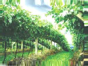 ɽ�|���_ᄾ����޹�˾��Ȫ�ƘI(y��)�ֹ�˾