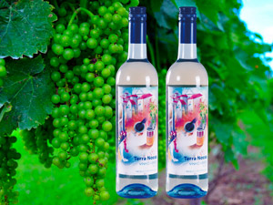 �V���а��ӌ��ƘI(y��)���޹�˾