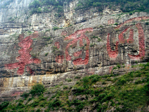 �F��һƷ��ᄾƘI(y��)���޹�˾