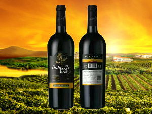 ɽ�|�����ȾƘI(y��)���޹�˾