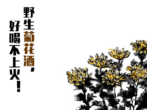 ����ʡ俿h�Ɖ�(m��ng)���ξƏS