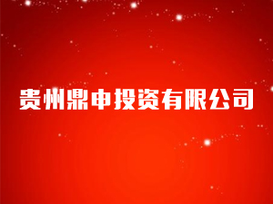 �F�ݶ���Ͷ�Y���޹�˾