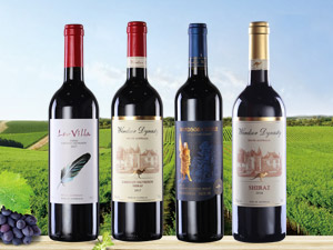 �B�T��Ī���ƘI(y��)���޹�˾