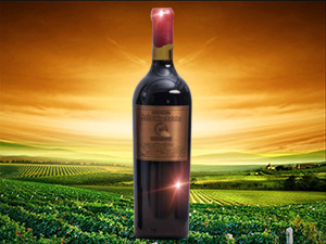 �t�±��������Ѿ�(����)�a(ch��n)�I(y��)�\(y��n)�I(y��ng)���޹�˾