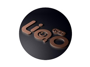 �������ľƘI(y��)���޹�˾