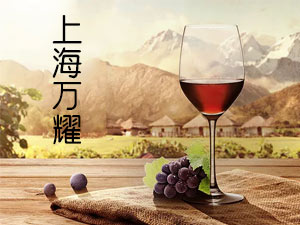 �Ϻ��fҫ���H�Q(m��o)�����޹�˾