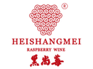 ɽ�|���������a(ch��n)�I(y��)���g(sh��)�l(f��)չ���޹�˾