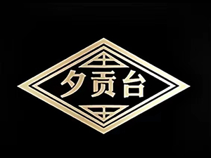 �F��Ϧؕ�_�ƘI(y��)���޹�˾