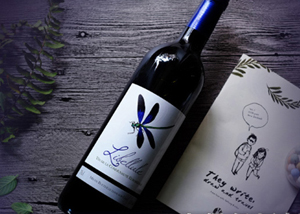 ����(gu��)�{(l��n)���Ѽt���Ѿ�