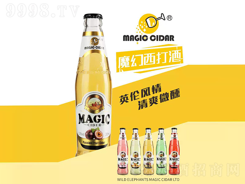 ħ�������