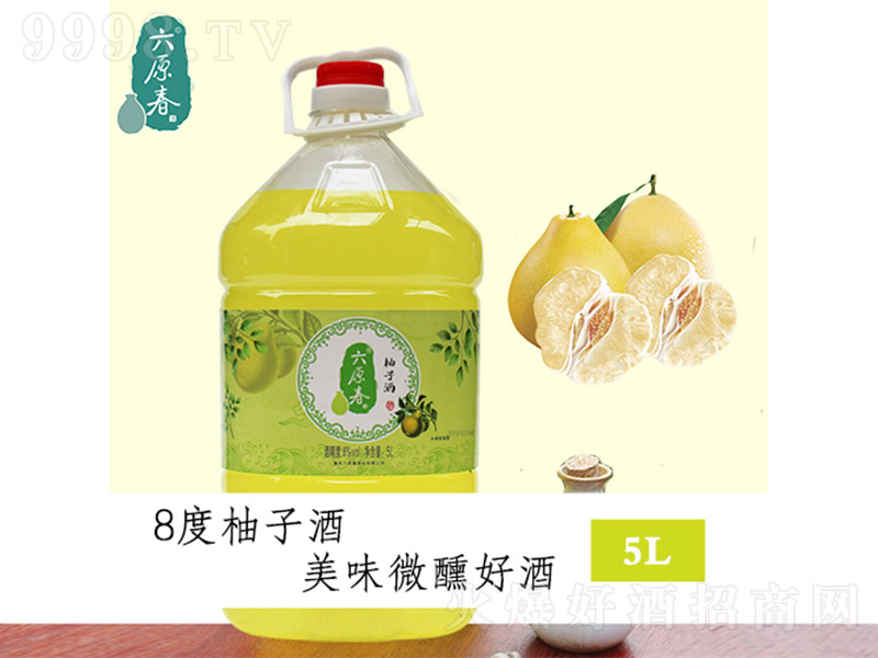 ��ԭ������