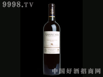 ����˹�t���Ѿ�