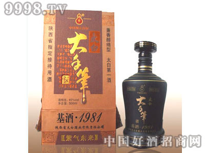 ���ֹP������1981��