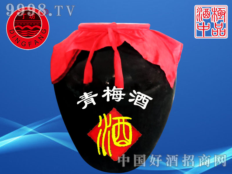 ɢ��-��÷��