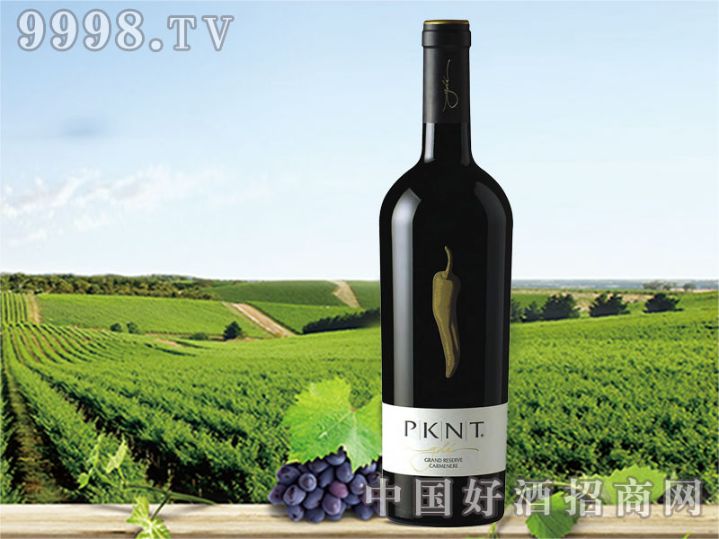 �����ᳱ����������˿��T���ݼt���Ѿ�