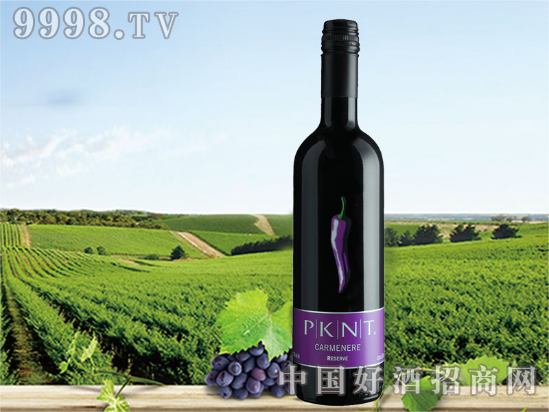 �����ᳱ�����������T����t���Ѿ�