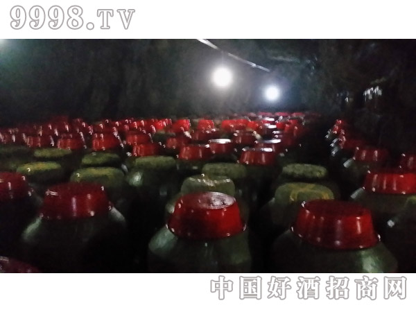 �Ǝ�-�׾����Ϣ