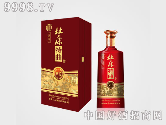 �ſ�����V12