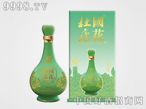 �����ſ�-���