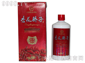 �ӻ�����������ž�-�׾����Ϣ