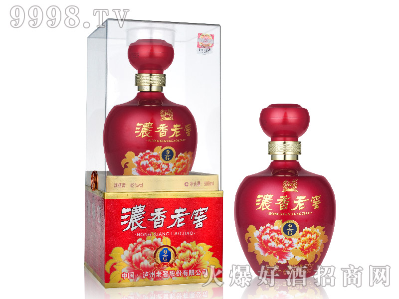 �����ϽѾơ�9G���t��