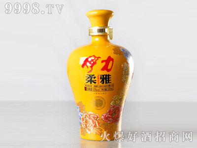 �������Ň�����-�׾����Ϣ