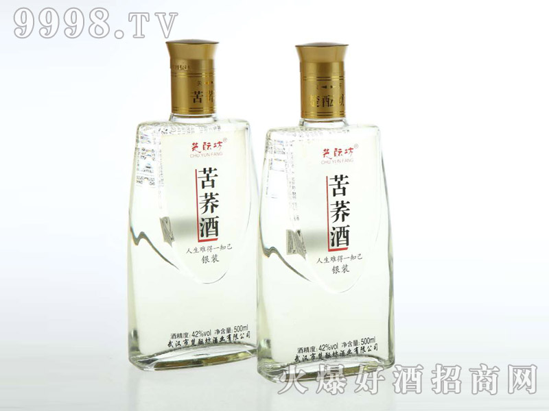 ʮ���ɿ��w�ơ��y�b