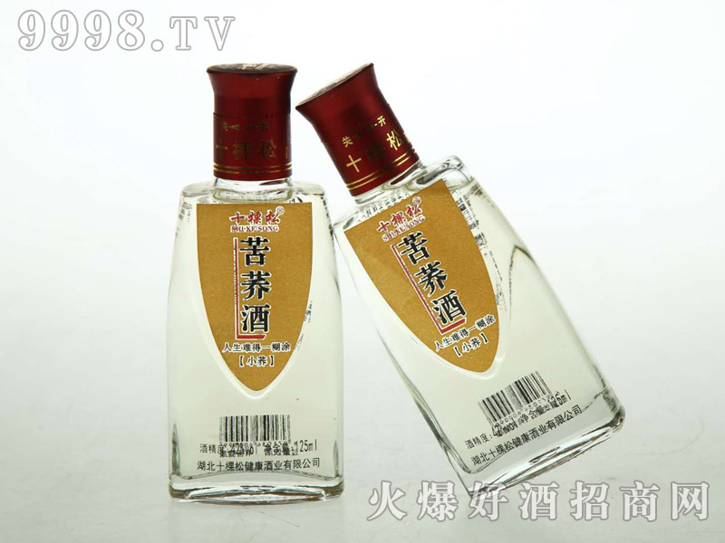 ʮ���ɿ��w�ơ�С��