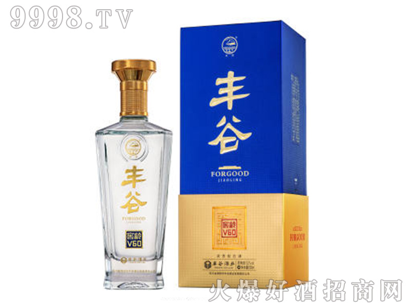 �S�Ƚ��gV60 52��38��500ml�����Ͱ׾�