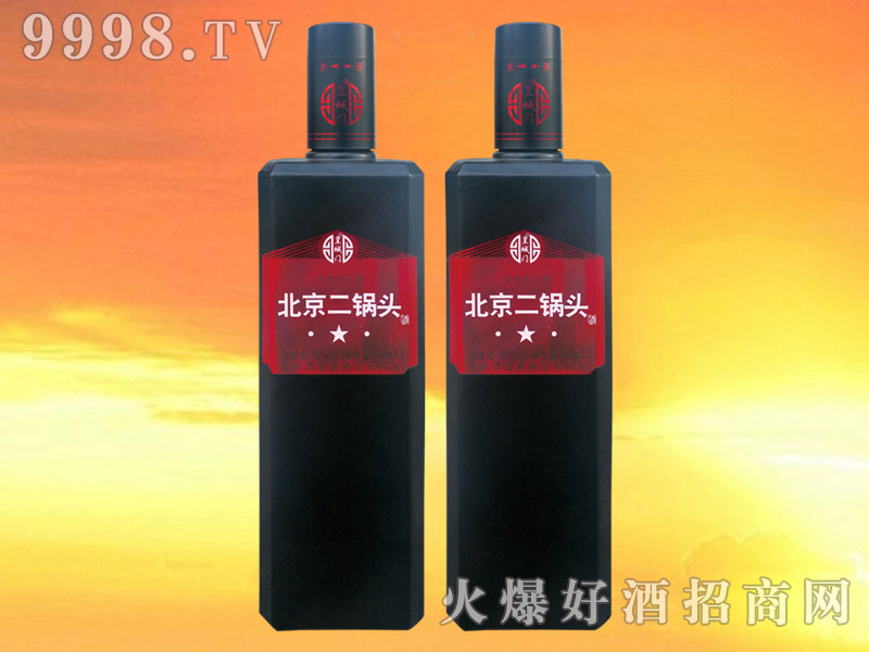 �ʳ��T��������^��42��500ml��12����ƿ��