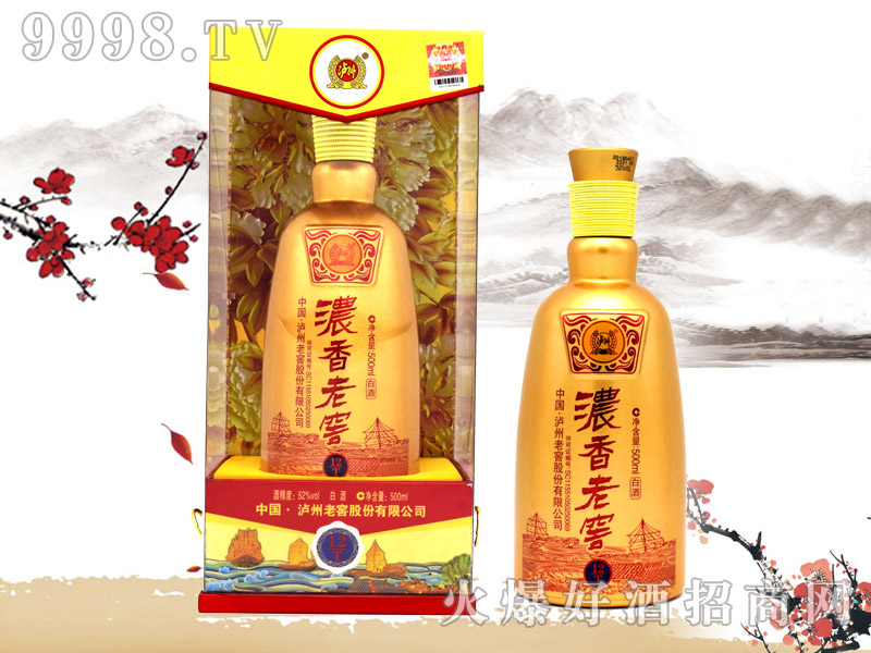 �����ϽѾ�T12��