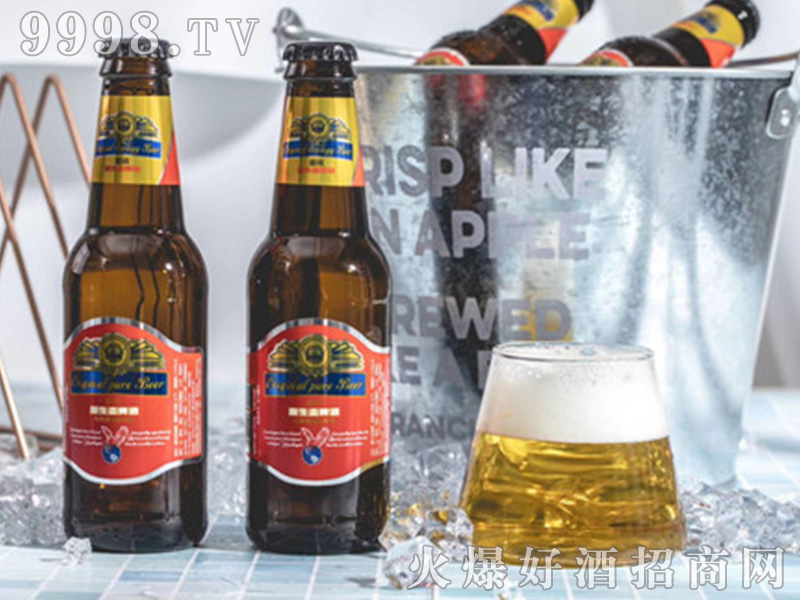 CLASSICAL BEERơ�Ƽt��(bi��o)��12��500ml��-ơ�����Ϣ