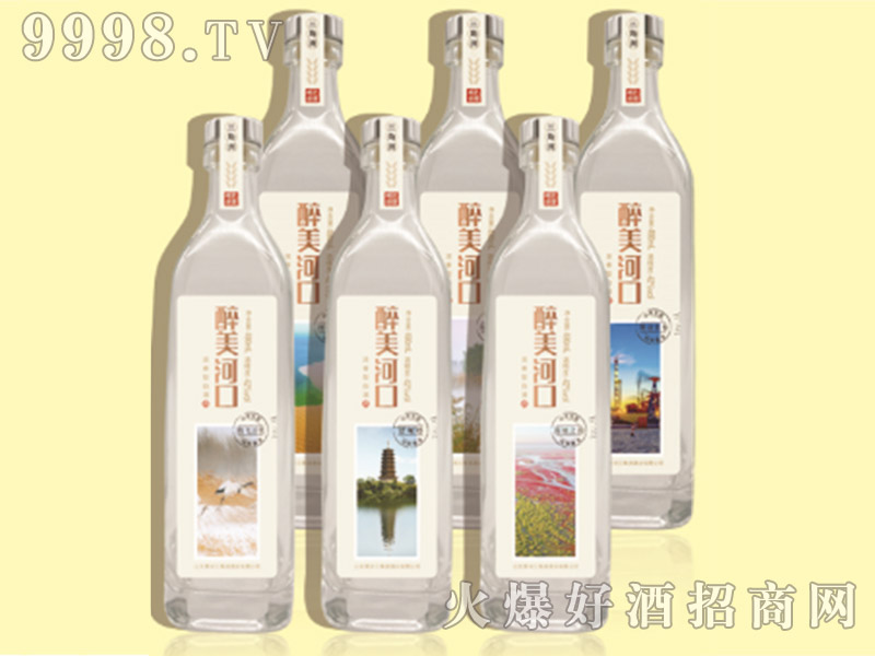 �����ӿ�42��490ml������