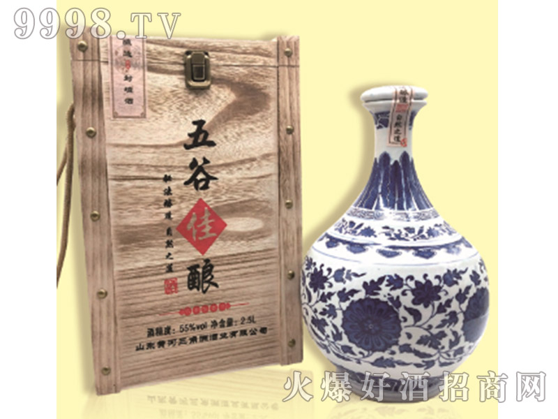 ��ȼ��55��2L������