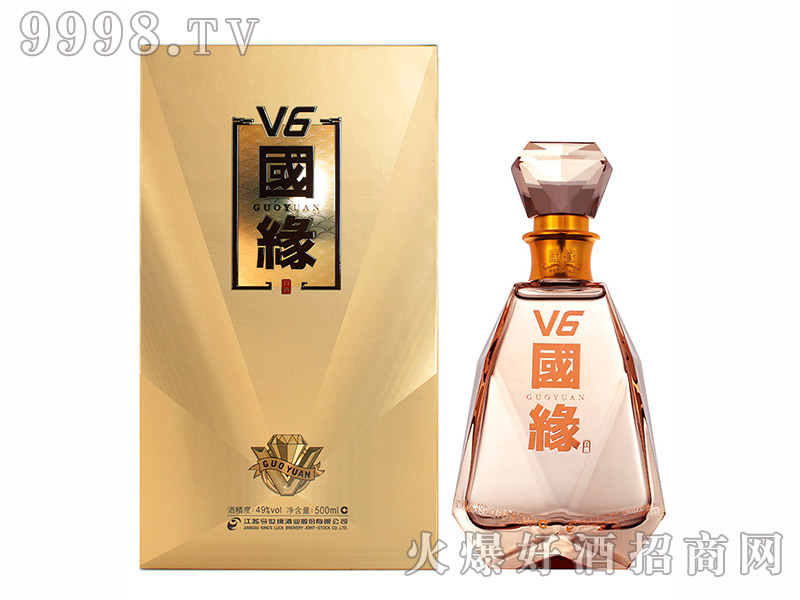 ����������V6(ˮ����)49��500ml������