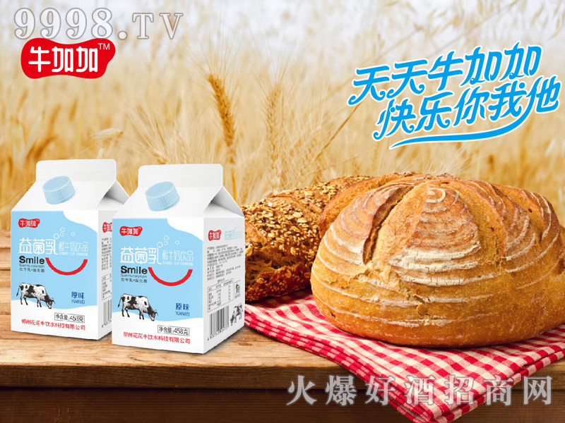 ţ�Ӽ��������ţ��ԭζ458g����픺���ţ���Ʒ��