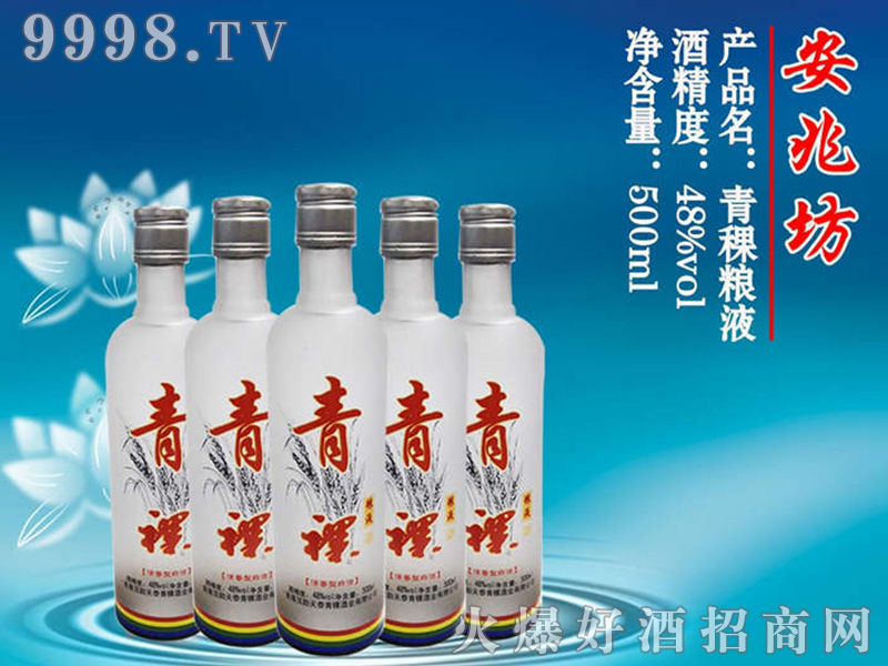 ���׷������Z�ƹ�ƿ��48��500ml��